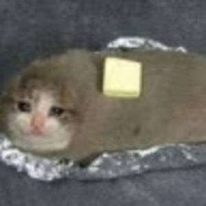 Meet your Posher, Nina